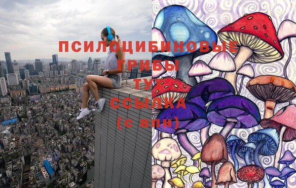 2c-b Белоозёрский