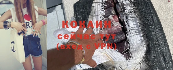 дживик Белокуриха