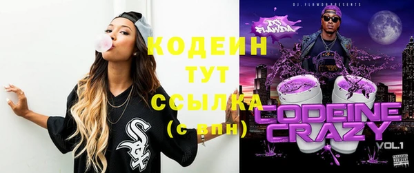 дживик Белокуриха