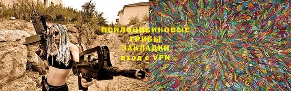 дживик Белокуриха