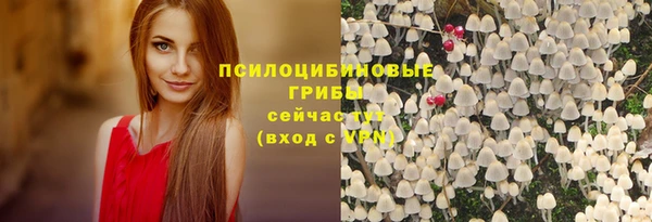 дживик Белокуриха