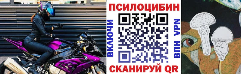 Галлюциногенные грибы MAGIC MUSHROOMS  Купить  Сусуман 